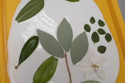 Leaves, twig and flower arranged in white glue on a yellow tray