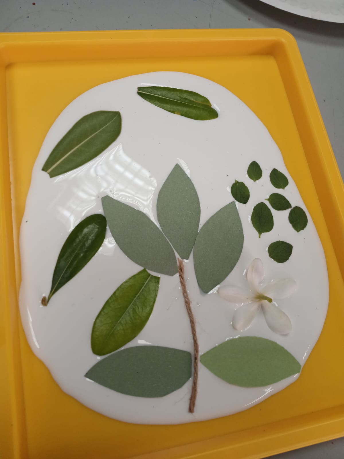 Leaves, twig and flower arranged in white glue on a yellow tray